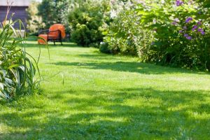 travaux jardin et paysage Vallentigny